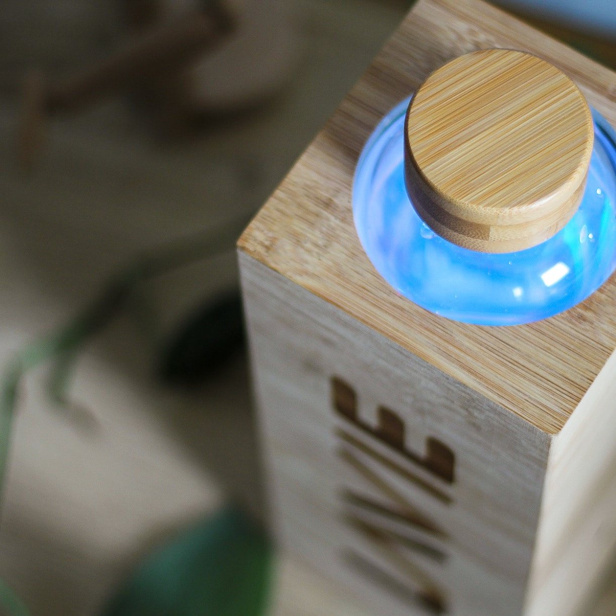 Premium bamboo purifier