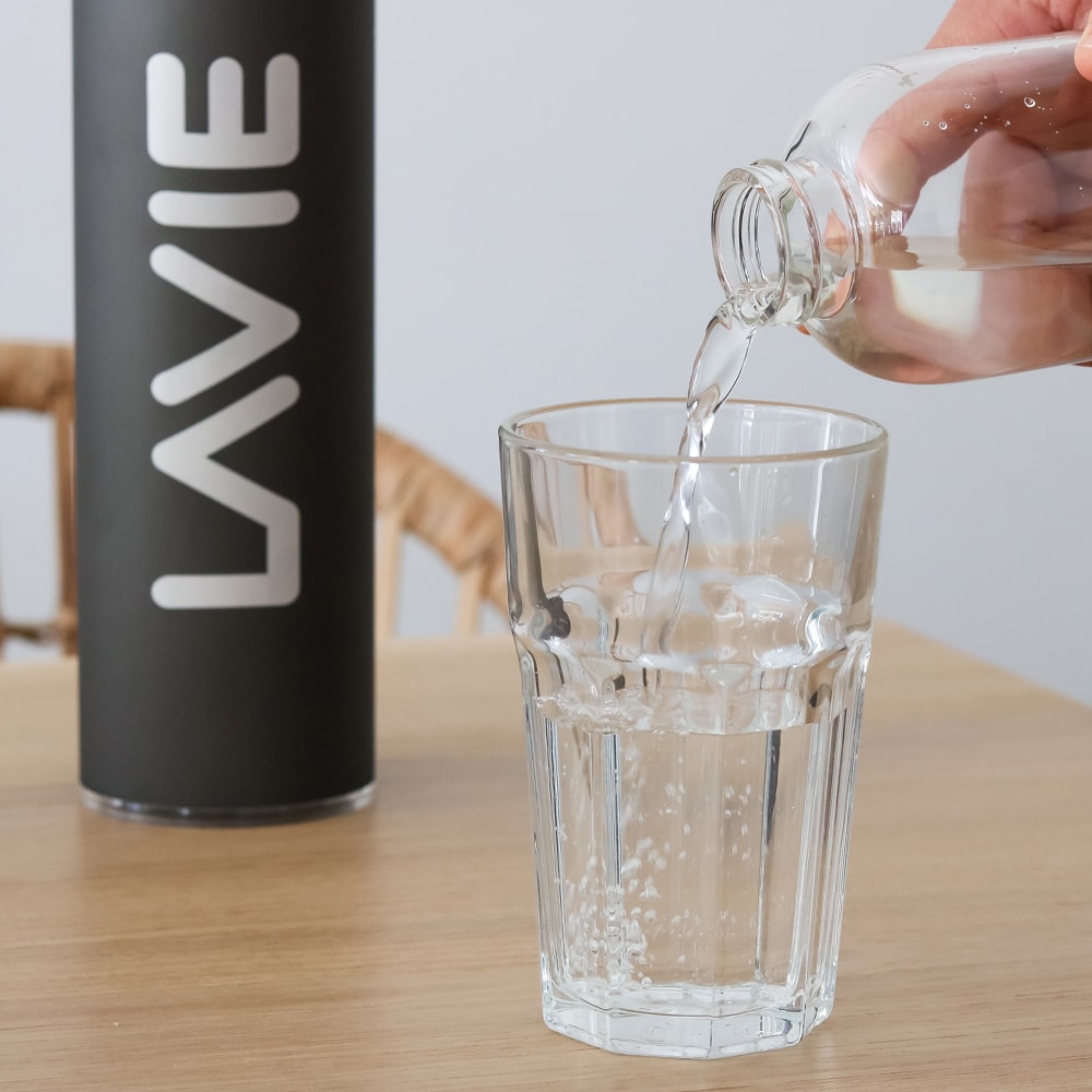 LaVie Pure Water Purifier Bundle | Natural Sustenance