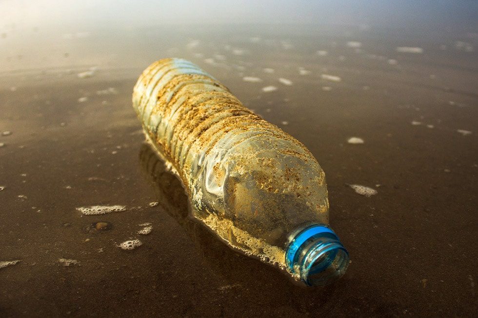 Plastic bottle washed up on shore